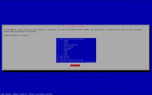 Debian software selection