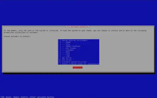 Debian software selection